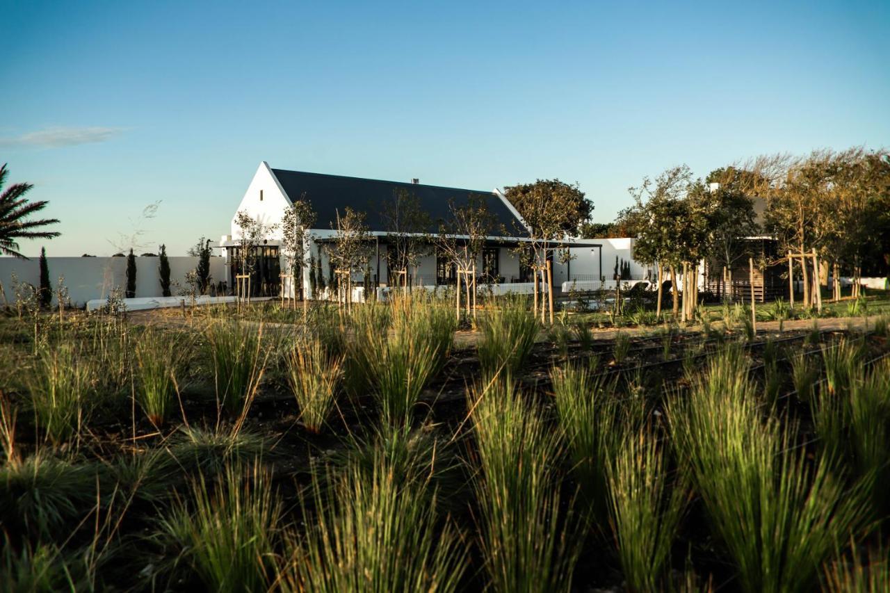 Vergenoegd Loew Boutique Hotel & Spa Cape Town Dış mekan fotoğraf