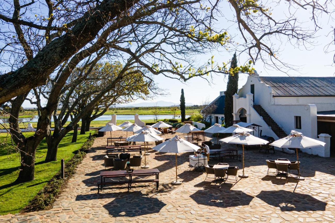 Vergenoegd Loew Boutique Hotel & Spa Cape Town Dış mekan fotoğraf