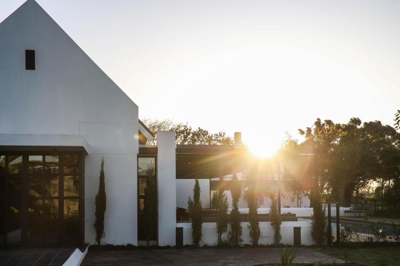 Vergenoegd Loew Boutique Hotel & Spa Cape Town Dış mekan fotoğraf