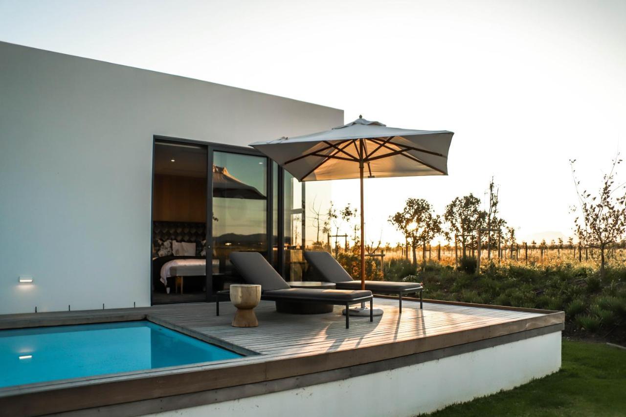 Vergenoegd Loew Boutique Hotel & Spa Cape Town Dış mekan fotoğraf