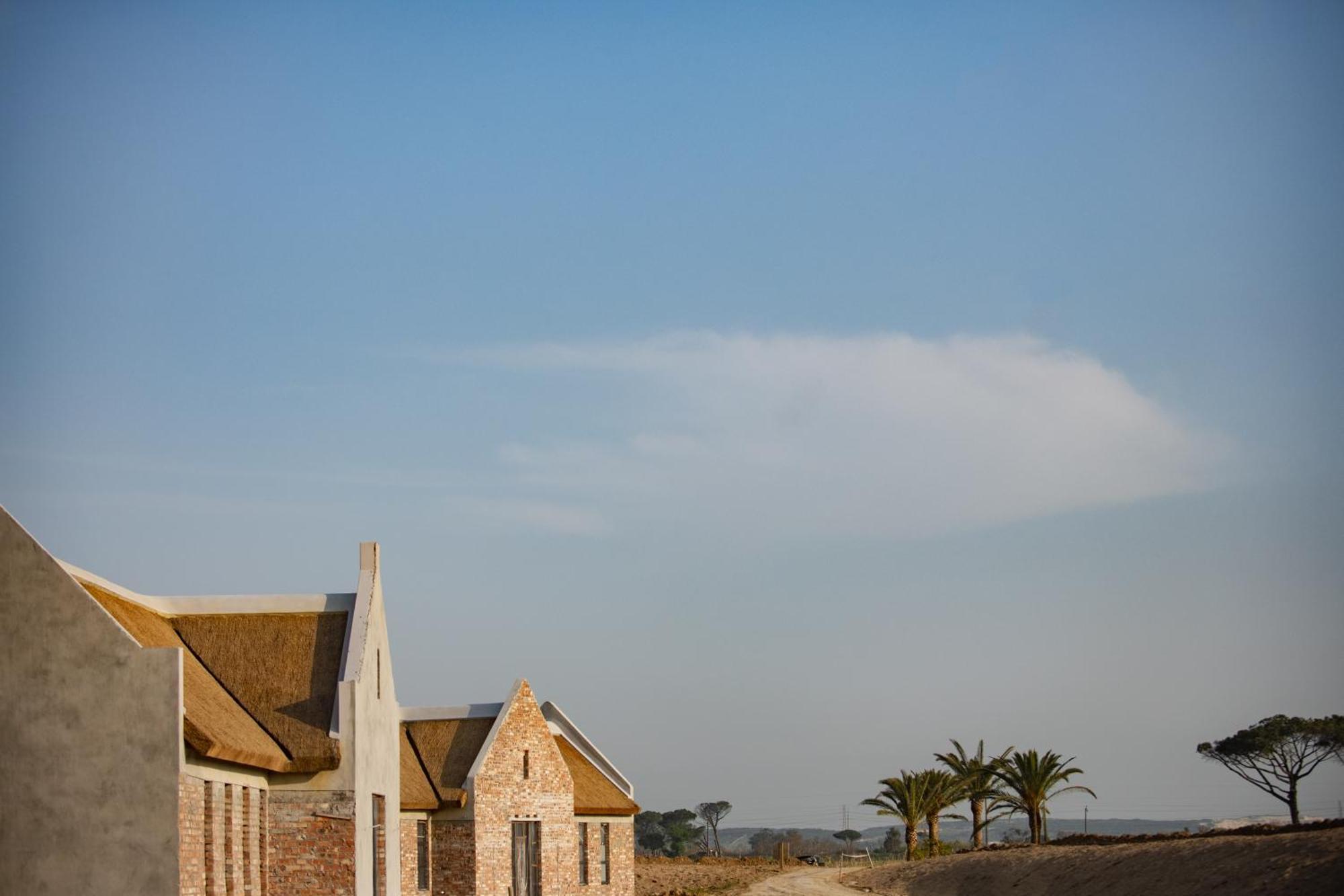 Vergenoegd Loew Boutique Hotel & Spa Cape Town Dış mekan fotoğraf